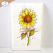 Elizabeth Craft Designs - Beautiful Blooms 2 Collection - Dies - Sunshine