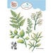 Elizabeth Craft Designs - Bohemian Rose Collection - Dies - Fern & Greenery