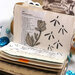 Elizabeth Craft Designs - Clear Photopolymer Stamps - Spring Fling