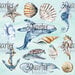 3Quarter Designs - Ocean Lovers Collection - 8 x 8 Paper Pack