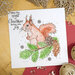 Hunkydory - Clear Photopolymer Stamps - For The Love Of Stamps - Snowy Squirrel