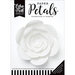 Echo Park - Paper Petals - Peony - Large - White