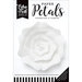 Echo Park - Paper Petals - Rose - Medium - White