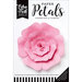 Echo Park - Paper Petals - Rose - Medium - Pink
