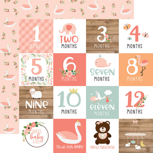 Echo Park - Baby Girl Collection - 12 x 12 Double Sided Paper - Milestone Cards