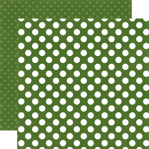 Echo Park - Dots and Stripes Collection - Little Boy - 12 x 12 Double Sided Paper - Crocodile Dot