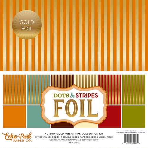 Echo Park - Dots and Stripes Collection - Autumn Gold Foil Stripe - 12 x 12 Collection Kit
