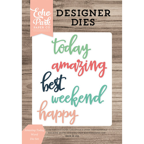 Echo Park - Daily Life Collection - Designer Dies - Amazing Today Word