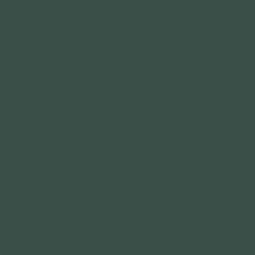 Echo Park - Family Collection - 12 x 12 Double Sided Paper - Dk. Green - Rust Echo Park - Family Collection - 12 x 12 Double Sided Paper - Dk. Green - Rust
