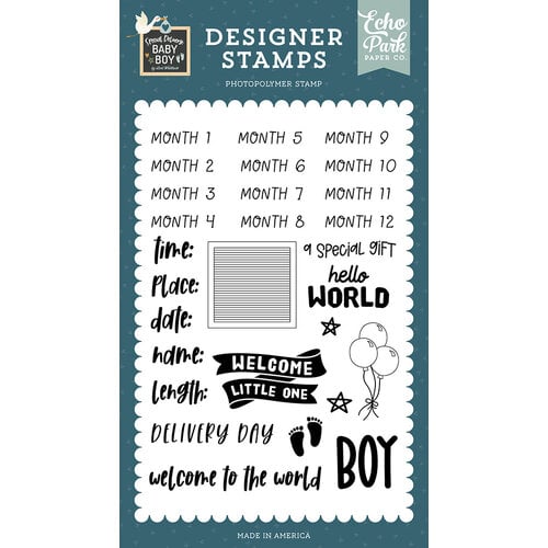 Echo Park - Special Delivery Baby Boy Collection - Clear Photopolymer Stamps - Baby Boy Stats