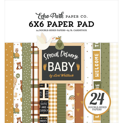 Echo Park - Special Deliver Baby Collection - 6 x 6 Paper Pad