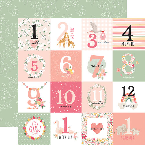 Echo Park - Welcome Baby Girl Collection - 12 x 12 Double Sided Paper - Milestone Journaling Cards