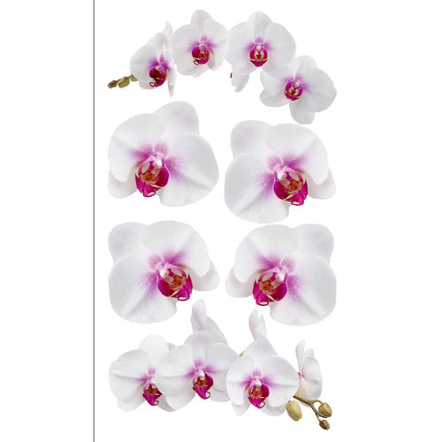 EK Success - Sticko Photo Flowers Collection - Stickers - White Orchids