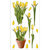 EK Success - Sticko Photo Flowers Collection - Stickers - Yellow Tulips