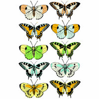 Martha Stewart Crafts - 3 Dimensional Stickers - Butterfly, BRAND NEW