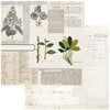 49 and Market - Curators Botanical - 12 x 12 Double Sided Paper - Florilegia