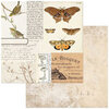 49 and Market - Curators Meadow Collection - 12 x 12 Double Sided Paper - Wings and Things