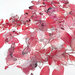 49 and Market - Color Swatch Blossom Collection - Acetate Leaves