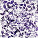 49 and Market - Color Swatch Lavender Collection - Acetate Leaves