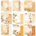 49 And Market - Color Swatch Peach Collection - 6 x 8 Collection Paper Pack
