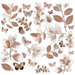 49 and Market - Color Swatch Toast Collection - Acetate Leaves