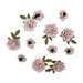 49 and Market - Florets Collection - Flower Embellishments - Taffy