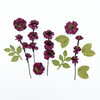49 and Market - Wild Flowers Collection - Flower Embellishments - Plum