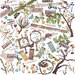 49 and Market - Vintage Artistry Nature Study Collection - General Laser Cut Elements