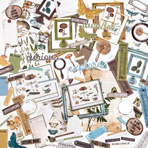 49 and Market - Vintage Artistry Nature Study Collection - Ephemera Bits