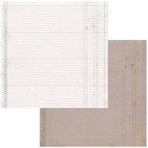 49 and Market - Vintage Artistry Nature Study Collection - 12 x 12 Double Sided Paper - Ledger 4