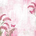 49 and Market - Spectrum Gardenia Collection - 12 x 12 Double Sided Paper - Classics - Pink Skies