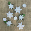 49 and Market - Handmade Flowers - Stargazers - Simply White