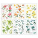 49 and Market - Spectrum Sherbet Collection - 6 x 8 Rub-On Transfers - Botanical