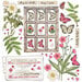 49 and Market - Vintage Artistry Blush Collection - 12 x 12 Collectors Pack