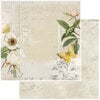 49 and Market - Vintage Artistry Everyday Collection - 12 x 12 Double Sided Paper - Garden Variety