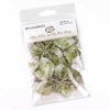 49 and Market - Vintage Artistry Essentials Collection - Plastic Die Cut Pieces - Foliage Mini