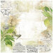 49 and Market - Vintage Artistry Naturalist Collection - 12 x 12 Double Sided Paper - Classified