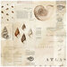 49 and Market - Vintage Artistry Shore Collection - 12 x 12 Double Sided Paper - Triton's Shell