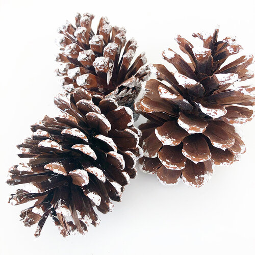 Foundations Decor - Tray Decor - Frosted Pine Cones - 3 Pack
