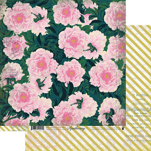 Fancy Pants Designs - Apothecary Collection - 12 x 12 Double Sided Paper - The Greenhouse