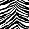 GCD Studios - Cosette Collection - 12 x 12 Double Sided Paper - Zebra