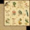 Graphic 45 - Tropical Travelogue Collection - 12 x 12 Double Sided Paper - Botanica