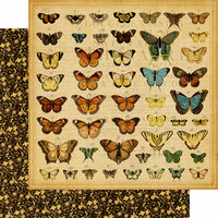 Graphic 45 - Olde Curiosity Shoppe Collection - 12 x 12 Double Sided Paper - Butterfly Specifics