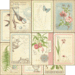 Graphic 45 - Botanical Tea Collection - 12 x 12 Double Sided Paper - Love Notes