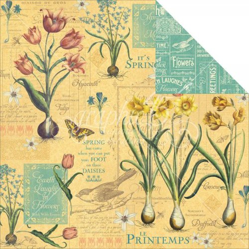 Graphic 45 - Time to Flourish Collection - 12 x 12 Double Sided Paper - April Flourish