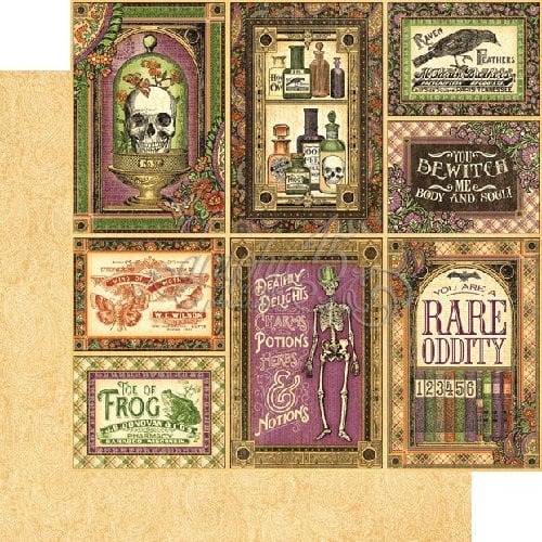 Graphic 45 - Rare Oddities Collection - 12 x 12 Double Sided Paper - Cabinet of Curiosities