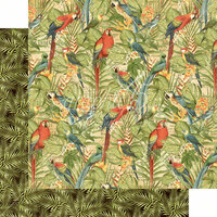 Graphic 45 - Safari Adventure Collection - 12 x 12 Double Sided Paper - Birds of a Feather