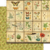 Graphic 45 - Nature Sketchbook Collection - 12 x 12 Double Sided Paper - Diary of a Botanist