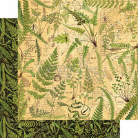 Graphic 45 - Nature Sketchbook Collection - 12 x 12 Double Sided Paper - Verdant Woodlands