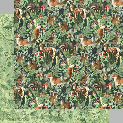 Graphic 45 - Woodland Friends Collection - 12 x 12 Double Sided Paper - Be Wild